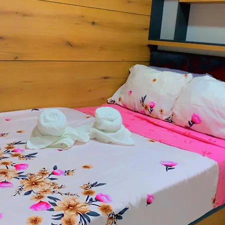 Clementine * סוקו בניה